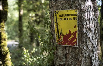 Renforcer la lutte contre les incendies de forêt