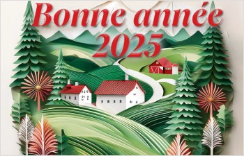 Bonne année 2025