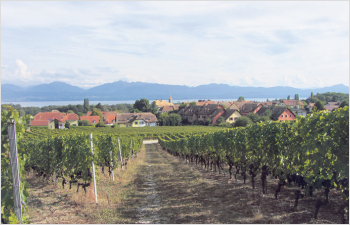 Lussy-sur-Morges