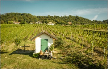 Assouplissements de règlements afin de développer l’œnotourisme