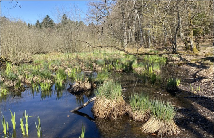 Le Canton rejoint l’Union internationale pour la conservation de la nature