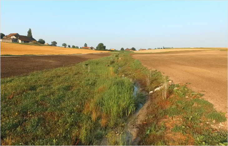 Renforcement de l’infrastructure écologique dans le canton