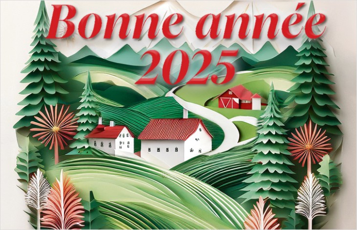 Bonne année 2025