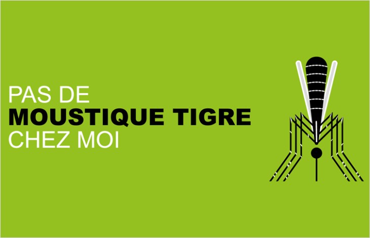 Moustique tigre: signalons-le!