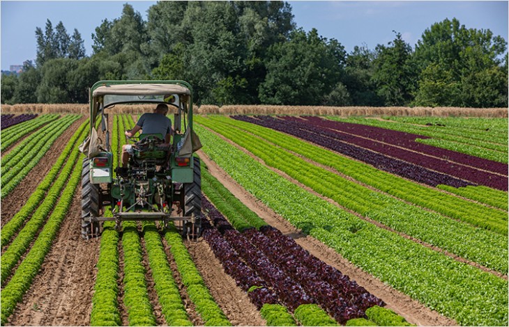 Mesures sociales : le Canton soutient le secteur agricole