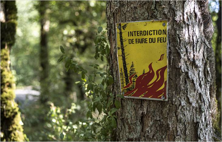 La sécheresse entraîne une interdiction des feux en forêt